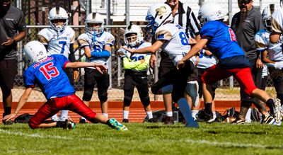 IMG_2591.jpg