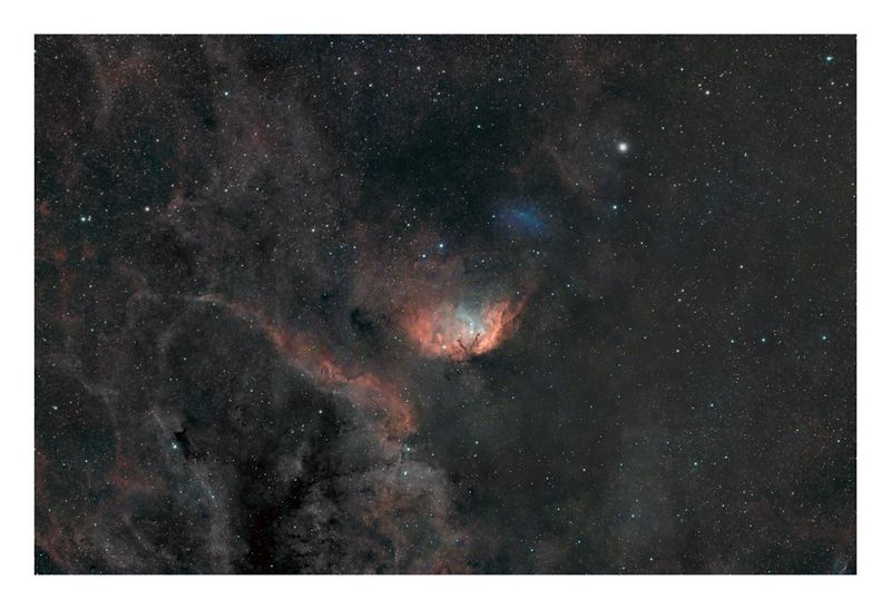 Tulip Nebula & Cygnus X-1 Shockwave