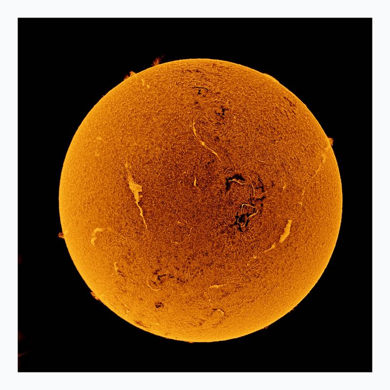 The Sun in Hydrogen Alpha