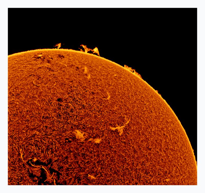 The Sun in Hydrogen Alpha with Solar Prominence