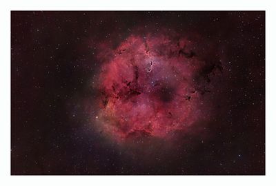 Elephant`s Trunk Nebula