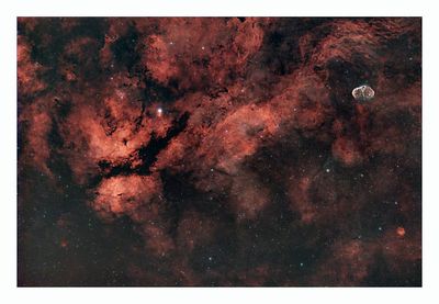 Cygnus Region