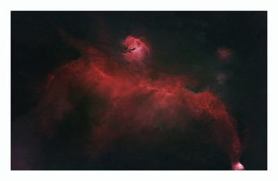 Seagull Nebula