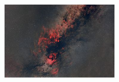 Cygnus Region