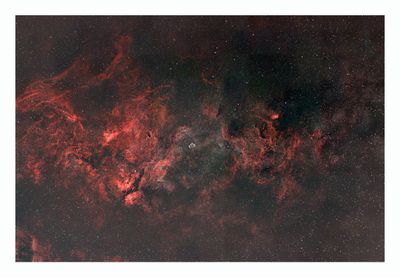 Cygnus Region