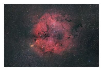 Elephant`s Trunk Nebula