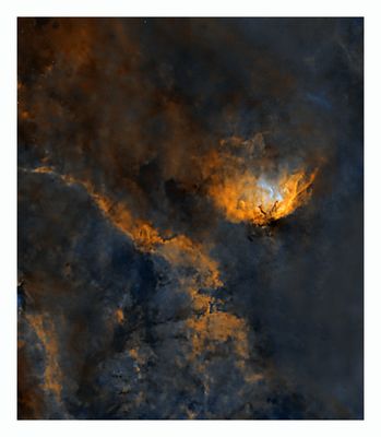 Tulip Nebula & Cygnus X-1 Shockwave