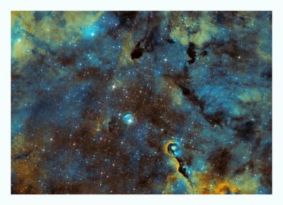 Elephant`s Trunk Nebula