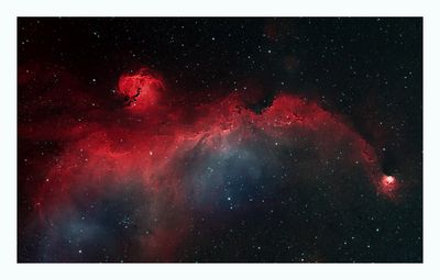 Seagull Nebula