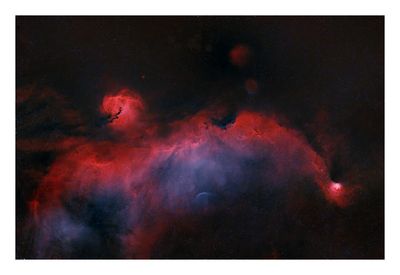 Seagull Nebula