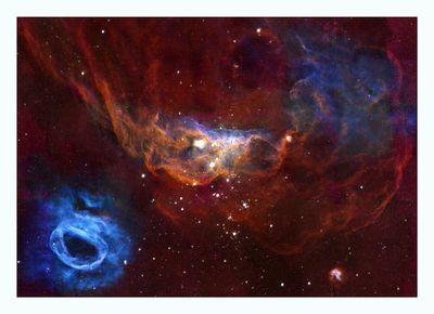 Ngc 2014 & Ngc 2020