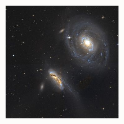 Arp 298