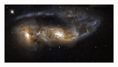 Arp 81