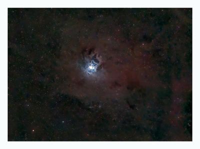 Iris Nebula
