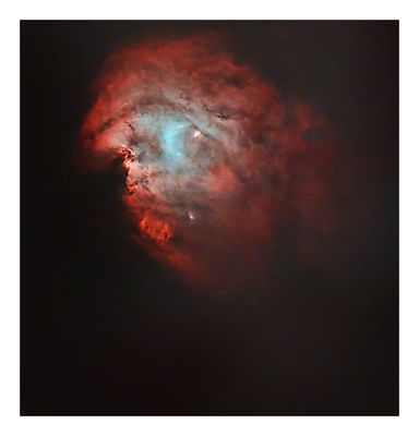 Monkey Head Nebula