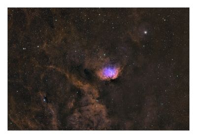 Tulip Nebula