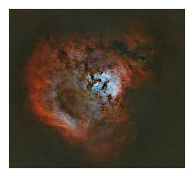 Devil`s Head Nebula
