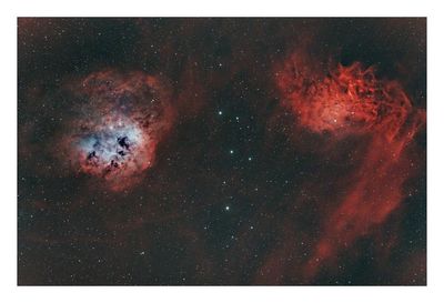 Flaming Star & Tadpole Nebulae