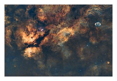 Cygnus Region