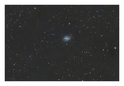 Ngc 4242