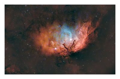 Tulip Nebula