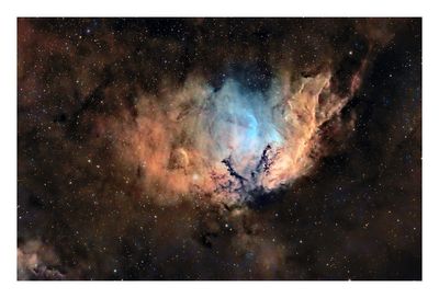 Tulip Nebula