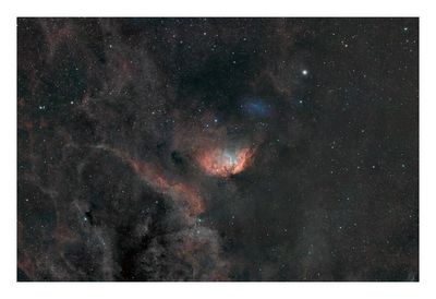 Tulip Nebula & Cygnus X-1 Shockwave