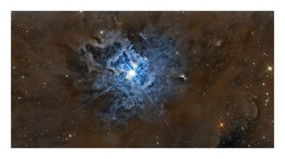 Iris Nebula