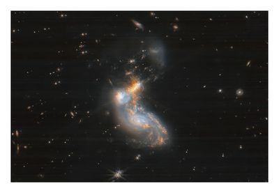 II ZW96