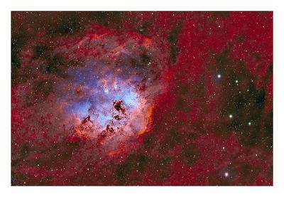 Tadpole Nebula
