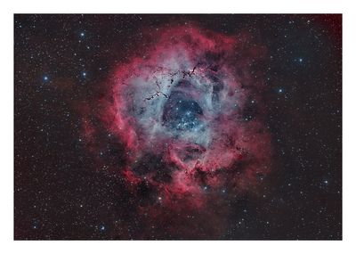 Rosette Nebula