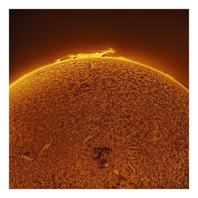 The Sun in Hydrogen Alpha
