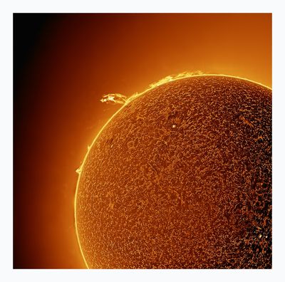 The Sun in Hydrogen Alpha