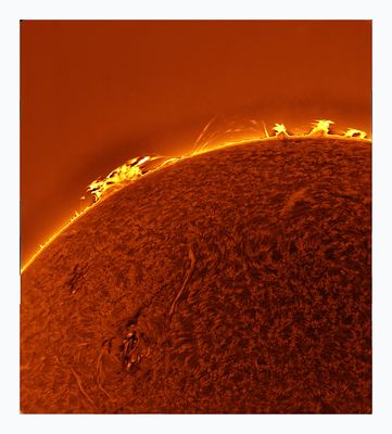 The Sun in Hydrogen Alpha with Solar Prominence