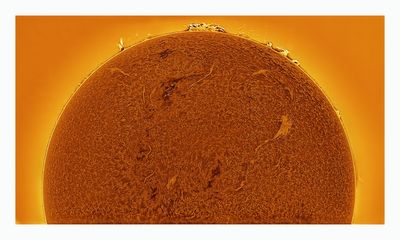 The Sun in Hydrogen Alpha with Solar Prominence
