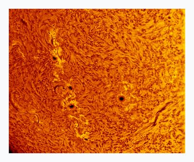 Sunspots