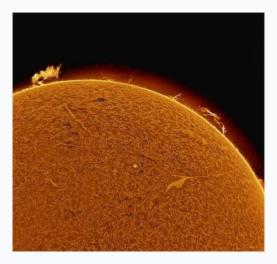 The Sun in Hydrogen Alpha with Solar Prominence