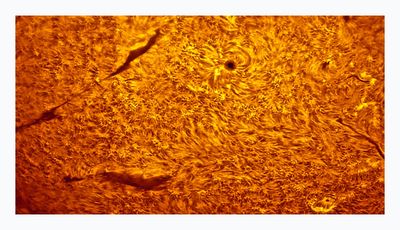 Solar surface