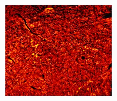Solar surface