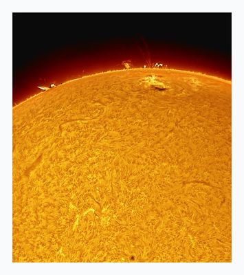 The Sun in Hydrogen Alpha with Solar Prominence