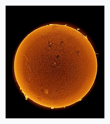 The Sun in Hydrogen Alpha with Solar Prominence