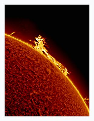 The Sun in Hydrogen Alpha with Solar Prominence