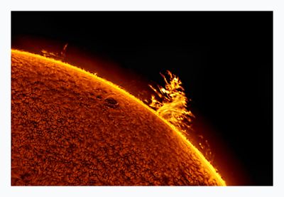 The Sun in Hydrogen Alpha with Solar Prominence