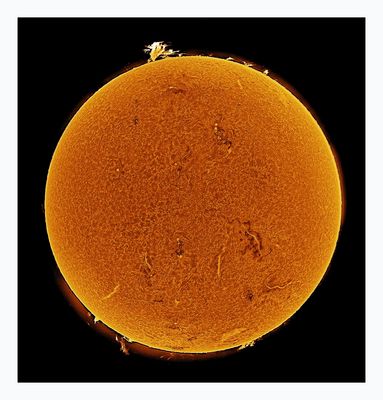 The Sun in Hydrogen Alpha with Solar Prominence