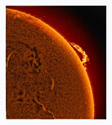 The Sun in Hydrogen Alpha with Solar Prominence