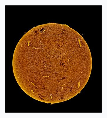 The Sun in Hydrogen Alpha with Solar Prominence