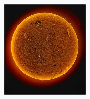 The Sun in Hydrogen Alpha with Solar Prominence