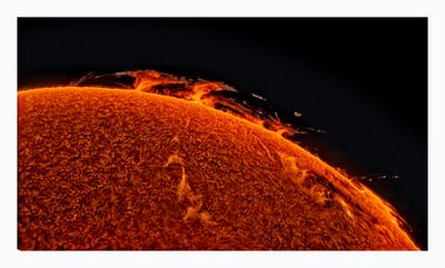 The Sun in Hydrogen Alpha with Solar Prominence