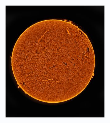 The Sun in Hydrogen Alpha with Solar Prominence