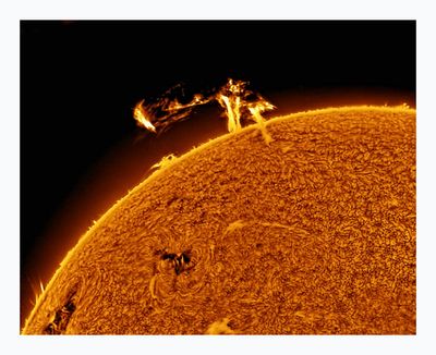 The Sun in Hydrogen Alpha with Solar Prominence